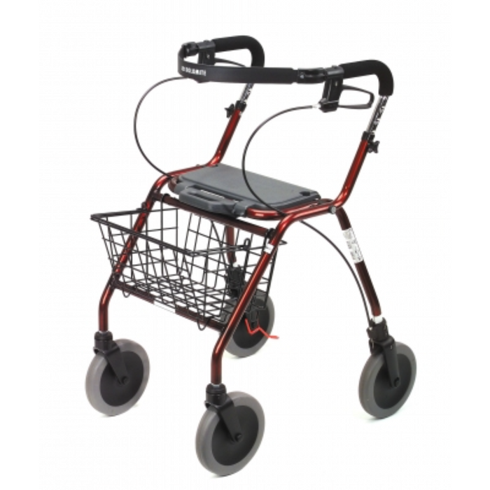 Basket For Dolomite Walkers